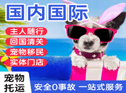 榆林榆阳机场邮寄国际宠物托运 【国